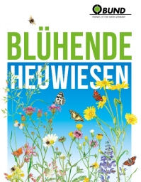 blühende heuwiesen