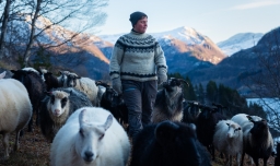12,07.26_Woolly 2.jpg